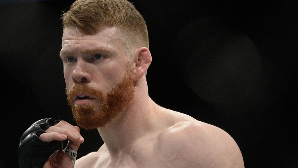 Paul Felder Paul Robert Felder (born April 25, 1984) is an American professional mixed martial artist and color commentator. He currently competes in the Lightwei...